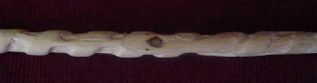 willowsnake2.jpg